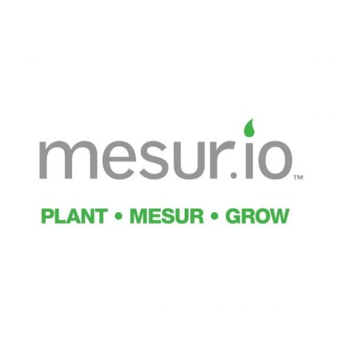 mesur.io